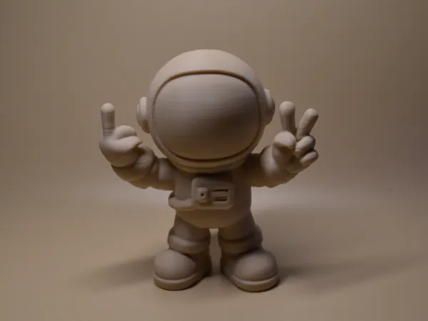 https://makerworld.bblmw.com/makerworld/model/US9d4177ab461025/design/2025-06-11_dd080b473a2b98.jpg