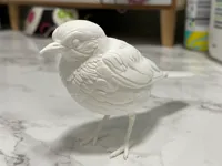 0.08mm layer, 2 walls, 5% infill