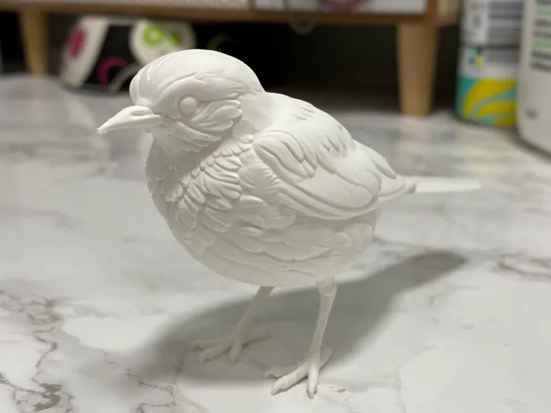 White Wagtail and Five Blessings: Compansion Piece