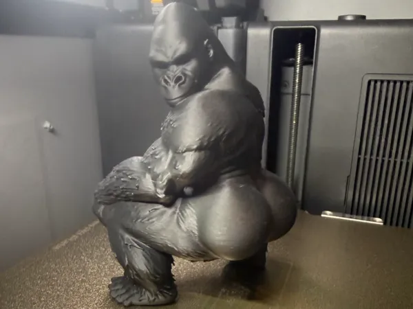 https://makerworld.bblmw.com/makerworld/model/US9d4b98cce435ab/design/76acfc5ddf75a2b3.jpeg
