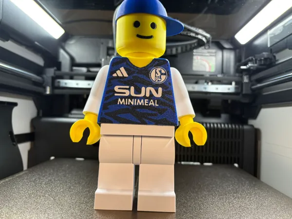 https://makerworld.bblmw.com/makerworld/model/US9d4dc729ad37b6/design/fc7642d4aa00619b.jpeg