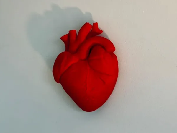 https://makerworld.bblmw.com/makerworld/model/US9d4f516c295e0f/design/2025-06-28_dad9490baba718.jpg