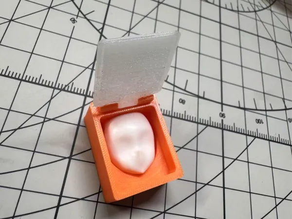 https://makerworld.bblmw.com/makerworld/model/US9d53c68d847fbd/design/2025-06-29_d9d14f19f2361.jpg