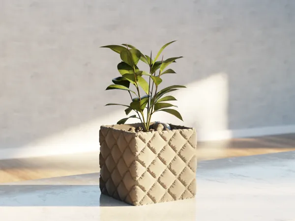 https://makerworld.bblmw.com/makerworld/model/US9d565fdb3601ca/design/2024-06-21_b99d221cff033.png