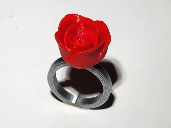 https://makerworld.bblmw.com/makerworld/model/US9d57dfcaee7433/design/2025-01-22_77c2cc1b87b8c8.jpg