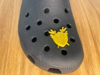Nisha Medallion Jibbitz