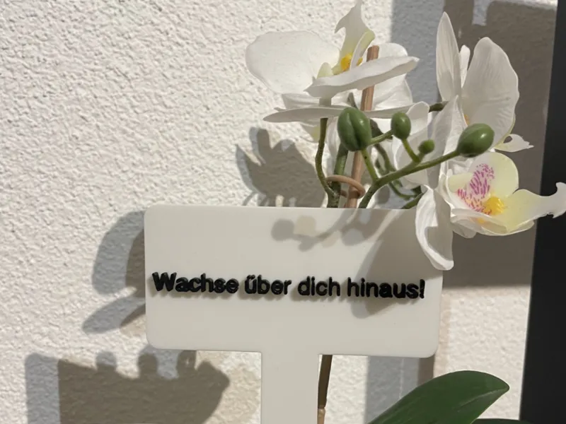 Pflanzenschild „Wachse über dich hinaus!“
