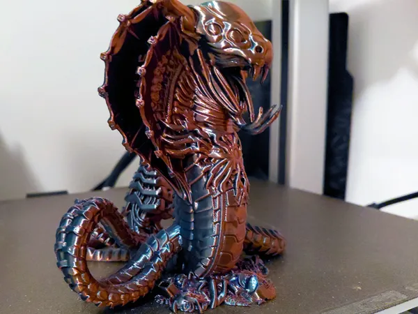 https://makerworld.bblmw.com/makerworld/model/US9d6126e22f076e/design/c4b85de33ac04886.png