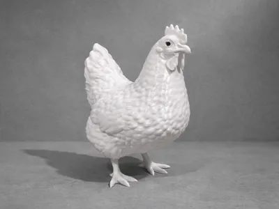 Hen - Chicken - Animal