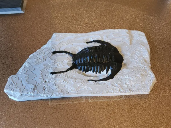 https://makerworld.bblmw.com/makerworld/model/US9d682dcafcffde/design/2025-02-24_ccd5268591e428.jpg