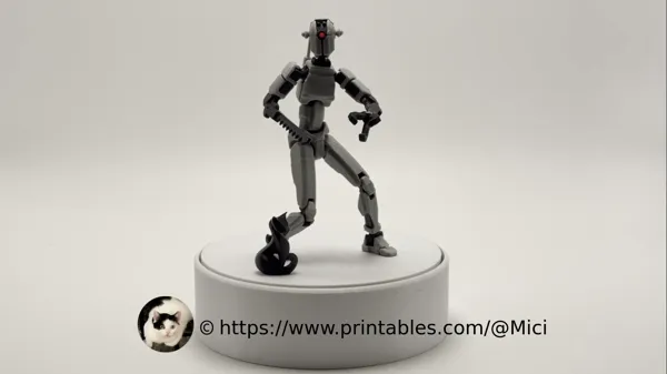 https://makerworld.bblmw.com/makerworld/model/US9d68568458de53/design/2025-02-28_ebsjwb6yctca.png