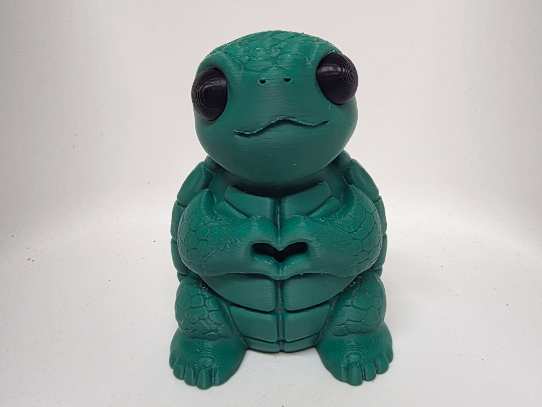 Cute Turtle NO AMS