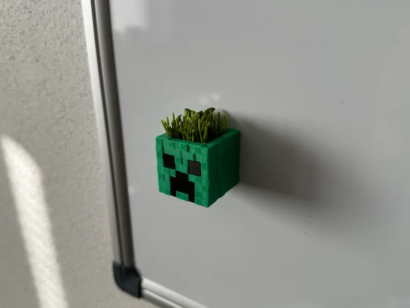 Hairy creeper: Magnet & Mini planter