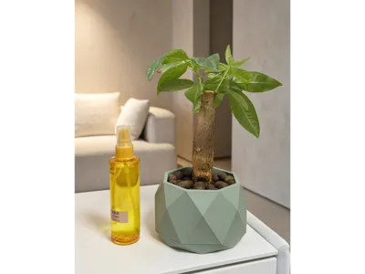 Polygonal | Flower Pot · Potted Plant