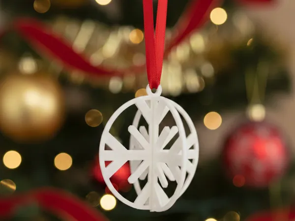 https://makerworld.bblmw.com/makerworld/model/US9d7cdbcce32d9d/design/2025-12-01_38cf1922d184b8.png