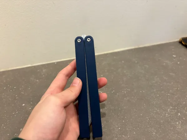 https://makerworld.bblmw.com/makerworld/model/US9d7ef28d64e720/design/cb7232c4d5f8fd0b.jpg
