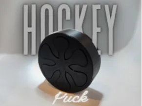 Hockey Puck Impossible Passthrough Fidgit