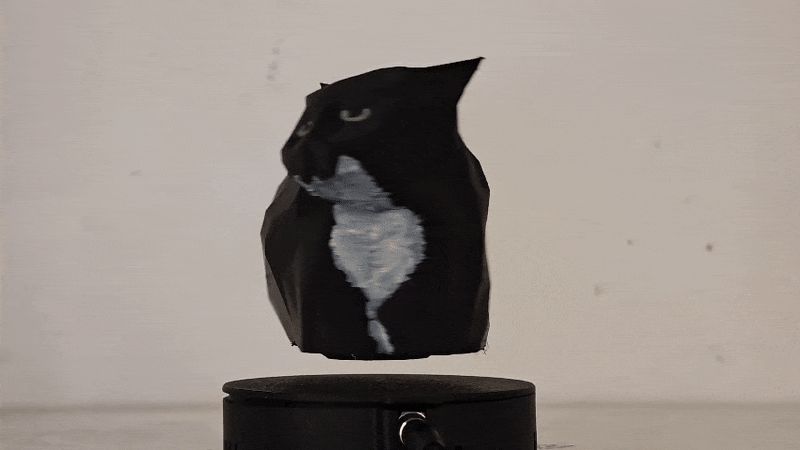 Maxwell the cat levitating model (No AMS)