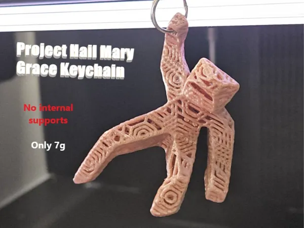 https://makerworld.bblmw.com/makerworld/model/US9d88ab6839cbbd/design/a9ef99e7110349cc.jpg