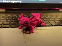 0.16mm layer, 2 walls, 15% infill