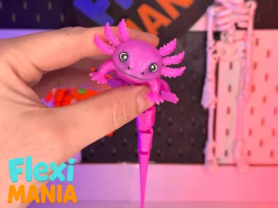 Flexi Axolotl | One-Piece Articulated Axolotl Cute