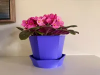 Modern Hexagon Flower Pot with Tray