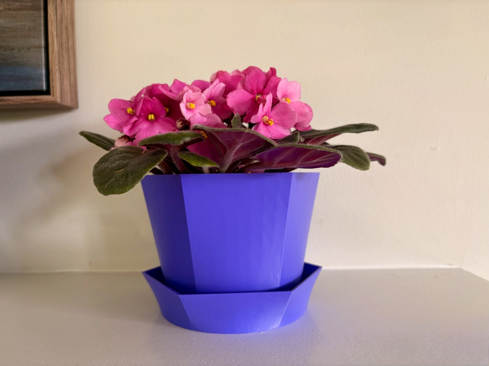 Modern Hexagon Flower Pot with Tray