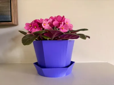 Modern Hexagon Flower Pot with Tray