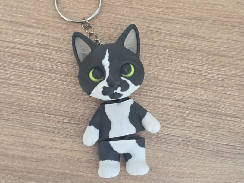 Gato Frajola