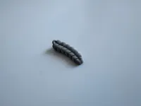 Crécelle de serpent à sonnette — photo 3