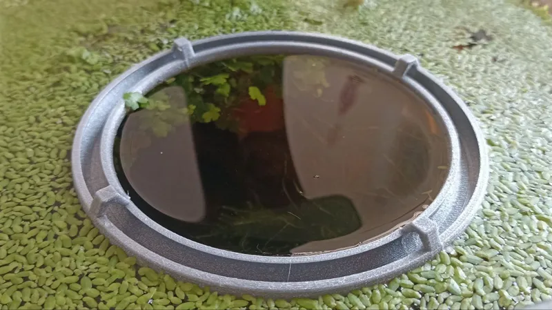 Floating plants barrier