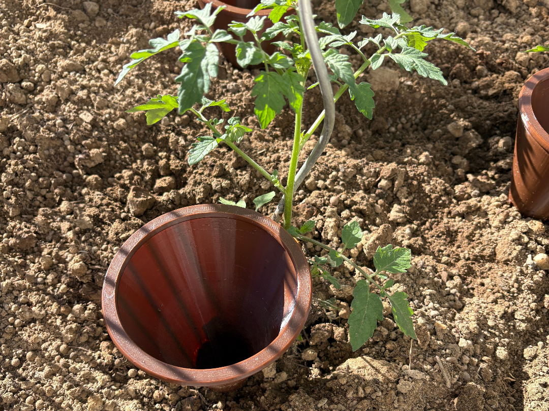 Gemüse Gießer Giessen Water Plants Tomaten Wasser