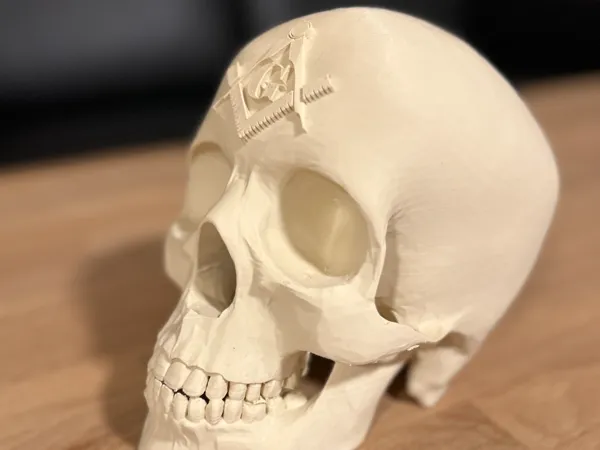 https://makerworld.bblmw.com/makerworld/model/US9da406fd8c742c/design/2025-01-26_f00908c11521f.jpg