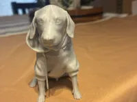 0.16mm layer, 3 walls, 25% infill
