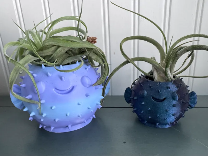 Spike the Dangerfish Airplant Pot