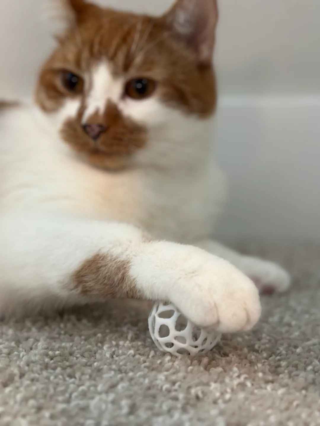 Print-in-place Cat Toys - V1 view 3