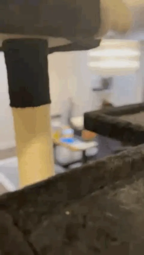 Print-in-place Cat Toys - V1 view 4