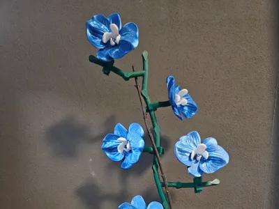 Orchid + leaf 