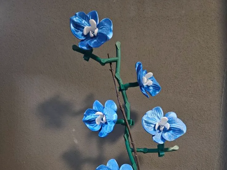 Orchid + leaf