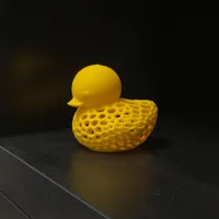 Canard motif voronoï — photo 2