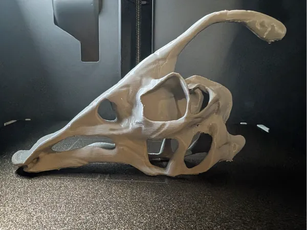 https://makerworld.bblmw.com/makerworld/model/US9db16189dfaa43/design/2025-03-04_064214636d6d9.jpg