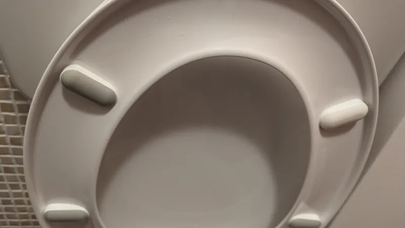 Toilet Seat Bumper