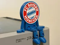 0.16mm layer, 2 walls, 15% infill