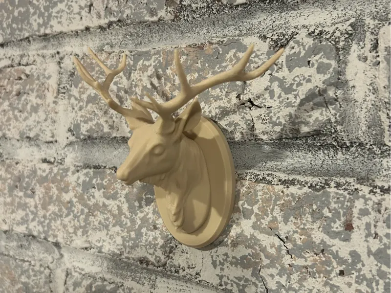 Deer head trophy