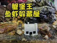 可以自行调整大小