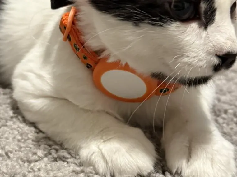 Cat / Kitten Apple Airtag Holder