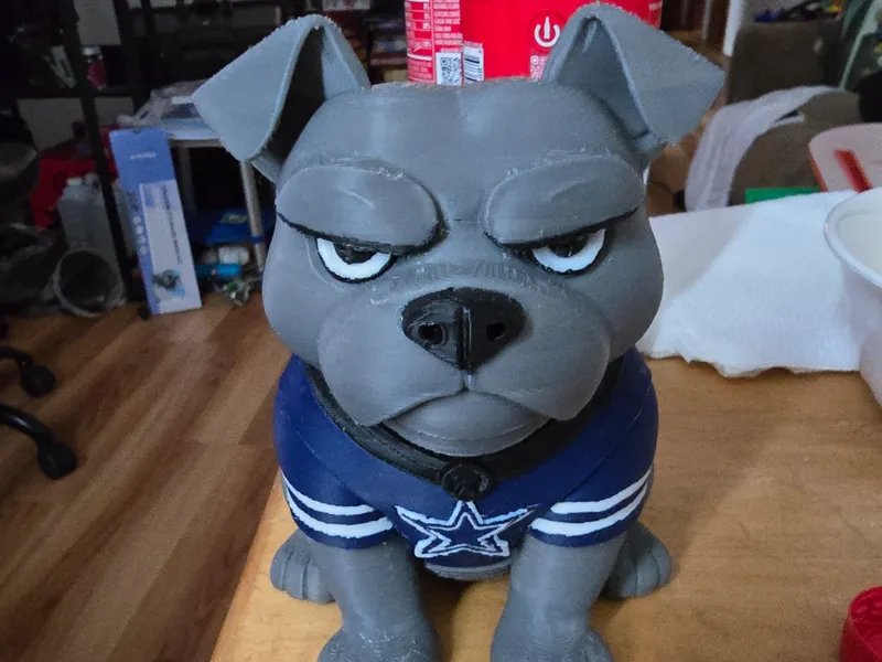 Dallas Cowboy Grumpy Dog