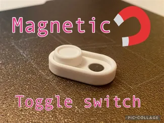 Magnetic Fidget Toggle