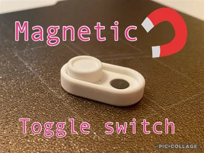 Magnetic Fidget Toggle