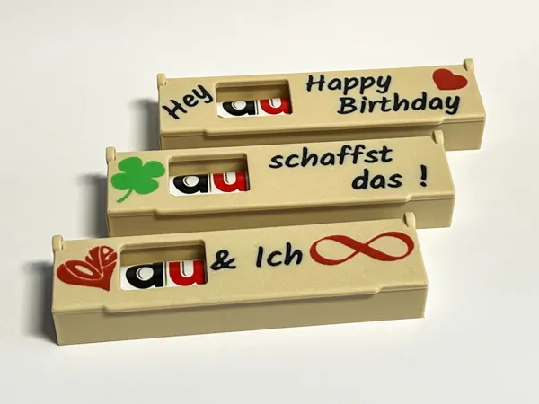 https://makerworld.bblmw.com/makerworld/model/US9dc6a3373fa957/design/2025-02-05_95c487f32f7c6.jpg